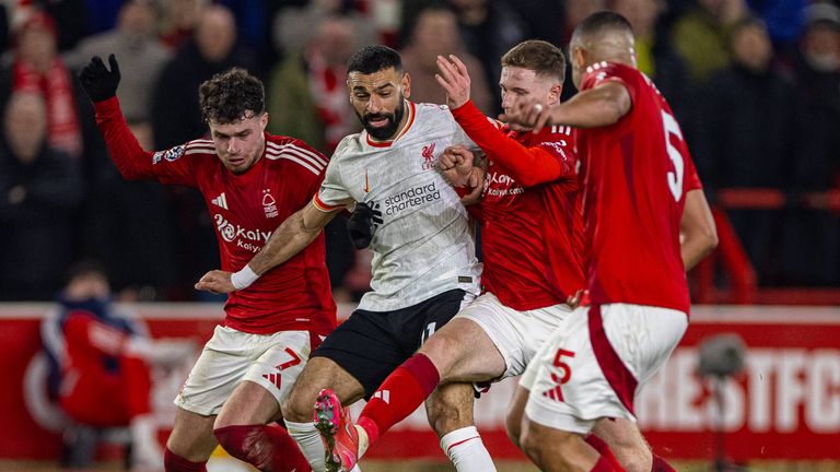 在篮球世界 在篮球世界