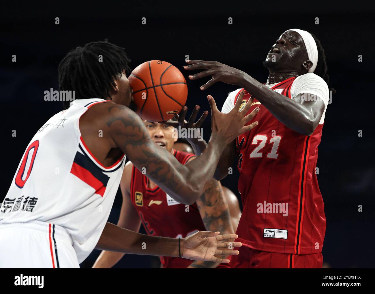 自己的冠军 自己的冠军